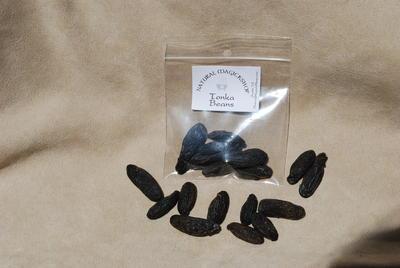 Tonka Beans - Natural Magick Shop